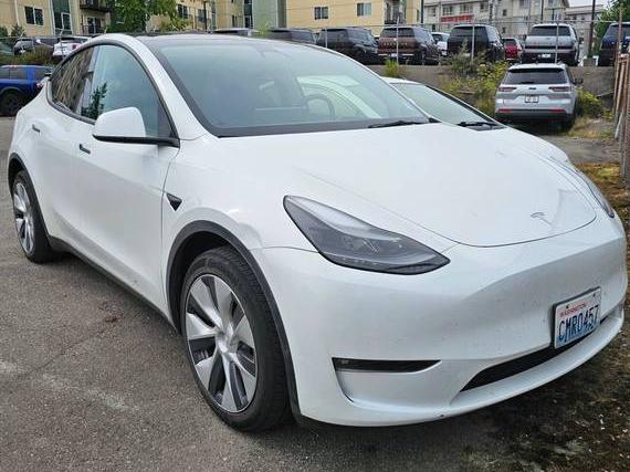 TESLA MODEL Y 2023 7SAYGDEE2PF660873 image